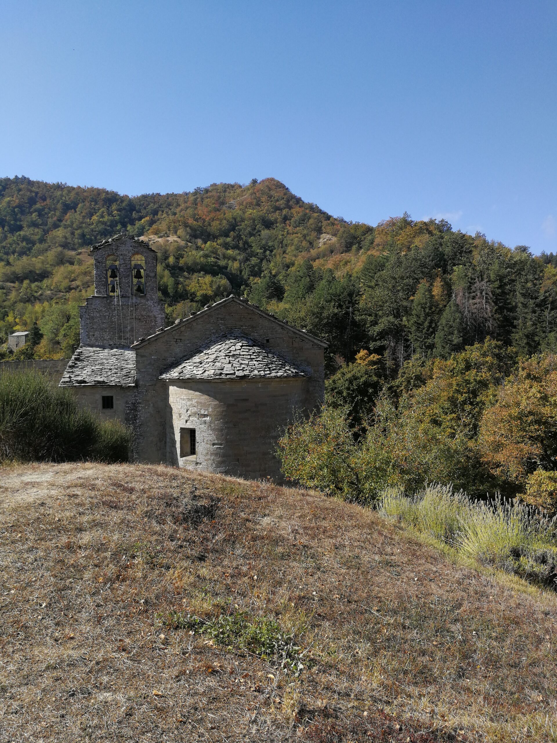 eremogamognatrekkingromangawildappenninotoscoromagnolo (1)