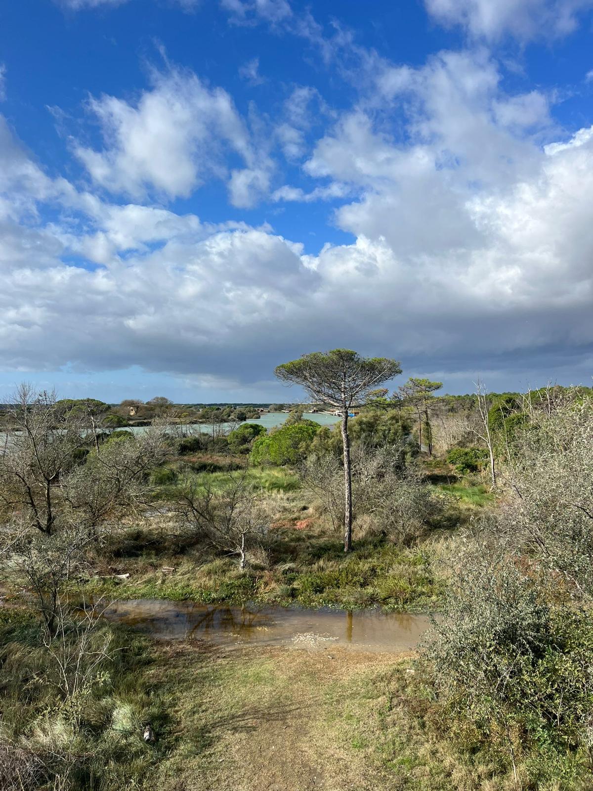 romagnawildtrekkingpinetaramazzottiravennalupo (5)