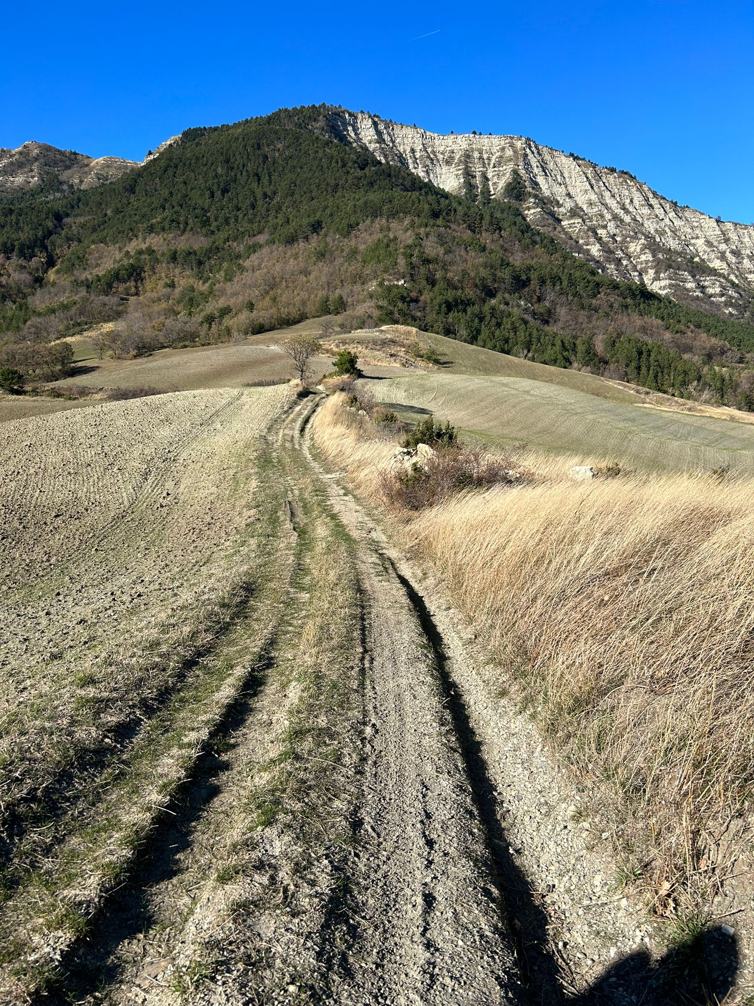 romagnawild_trekking_parcosassosimonesimoncello_aigae (3)