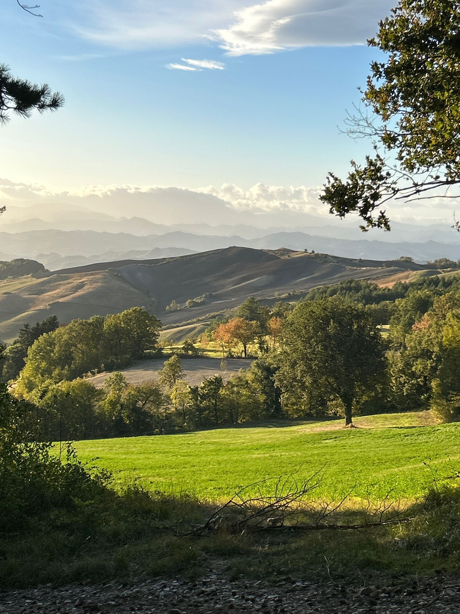 romagnawild_trekking_parcosassosimonesimoncello_aigae
