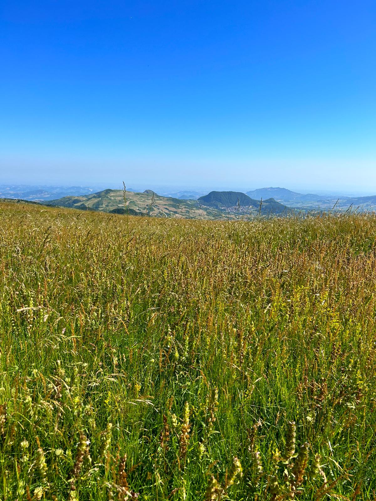 Prati sommitali Carpegna