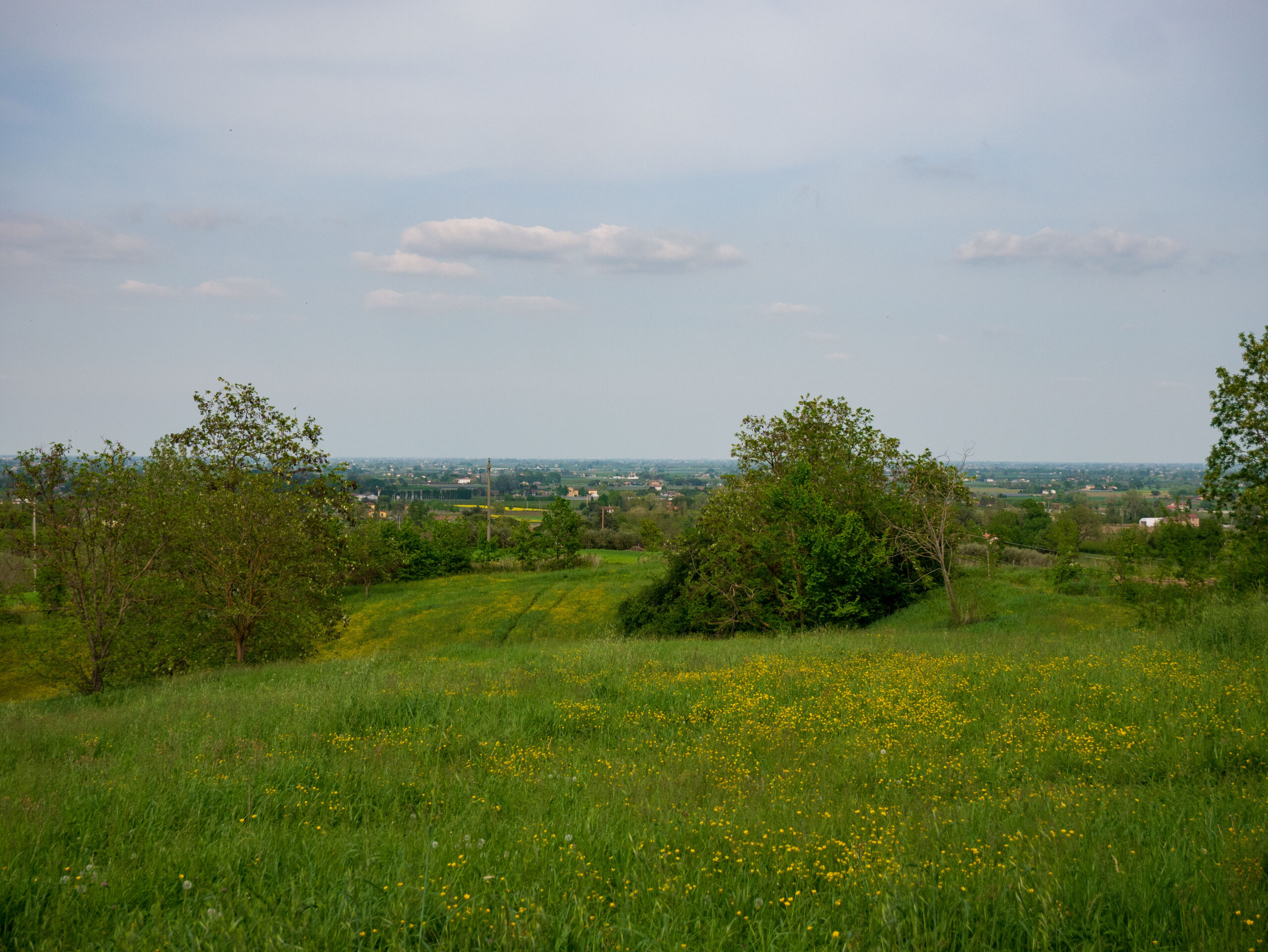 Parco delle ginestre_2