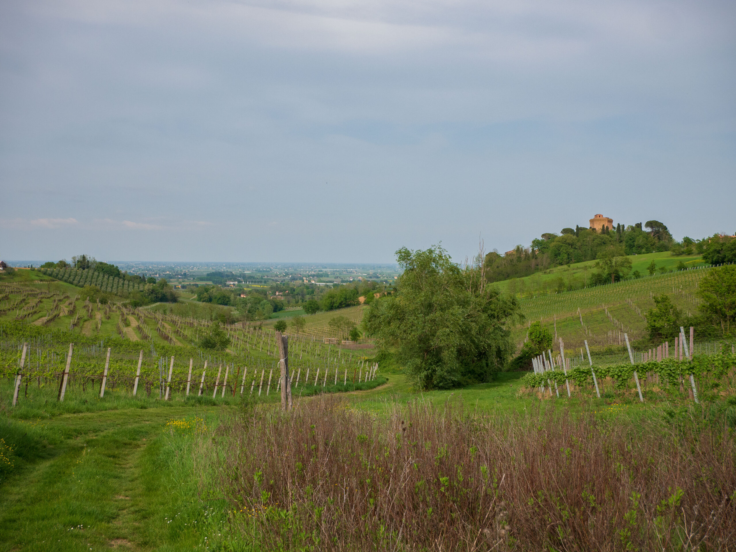 veduta di oriolo e pianura