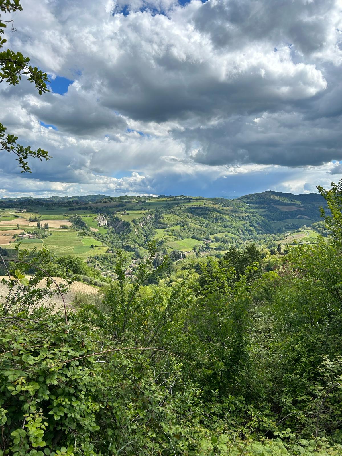 Panorama