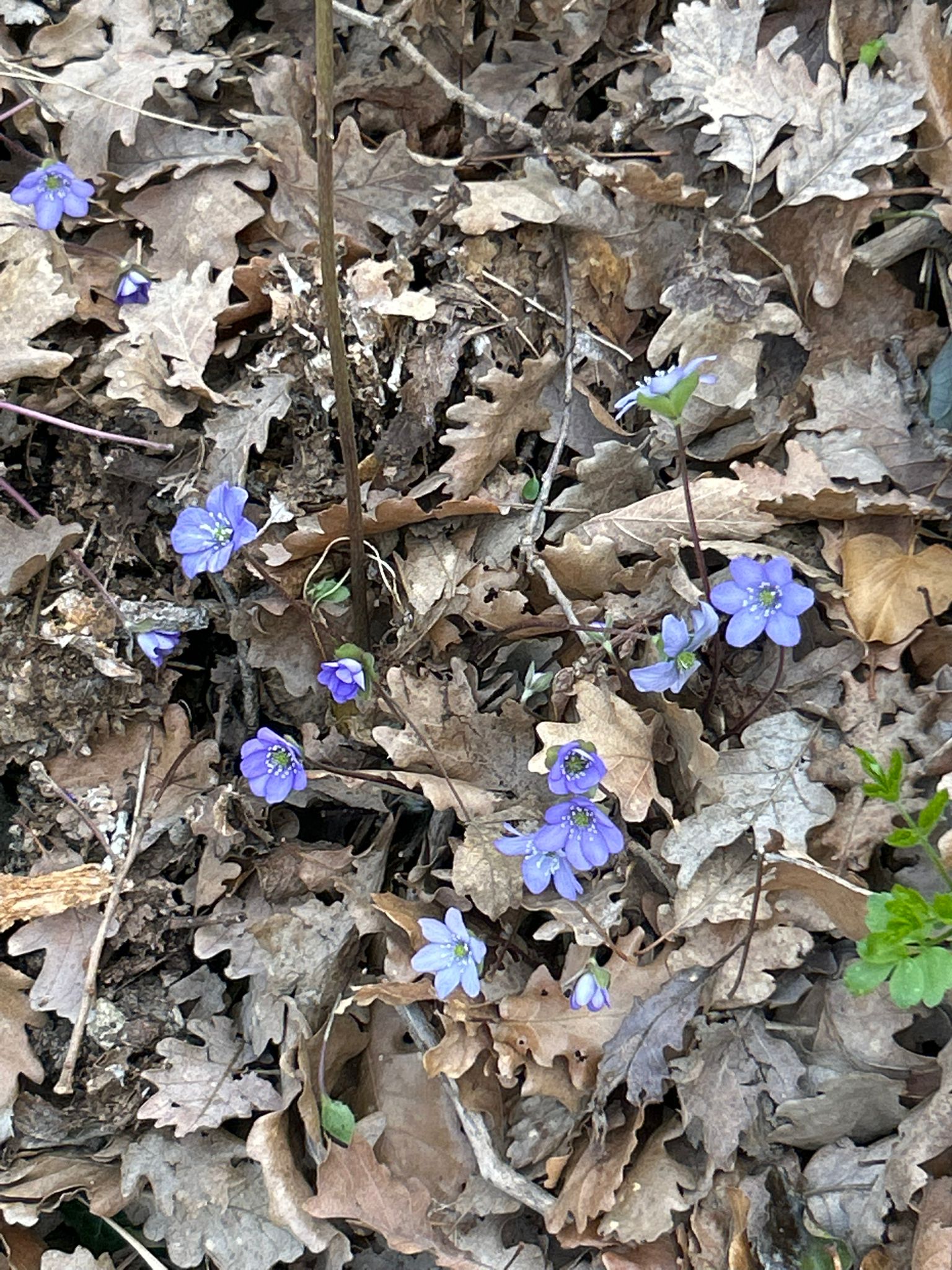 WhatsApp Image 2026-03-15 at 19.15.14 (3)