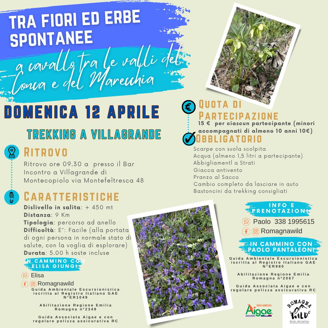 WhatsApp Image 2026-03-28 at 11.20.02